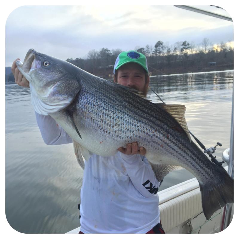 Mike Walker - Owner And Guide At Got You Hooked 