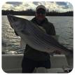 Big spring striper from 2016 trip on Lake Martin