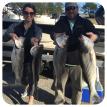 2016 Lake Martin striper trip