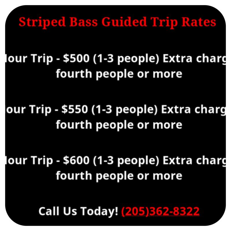 Service And Rates Link