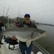 Big striper caught in 2015 